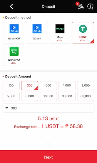 📌Step 1: enter the payment amount and click NEXT.