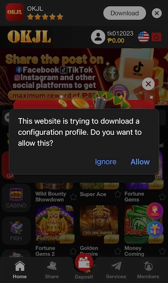 📌Step 3: Next, click "Allow" on the notification.