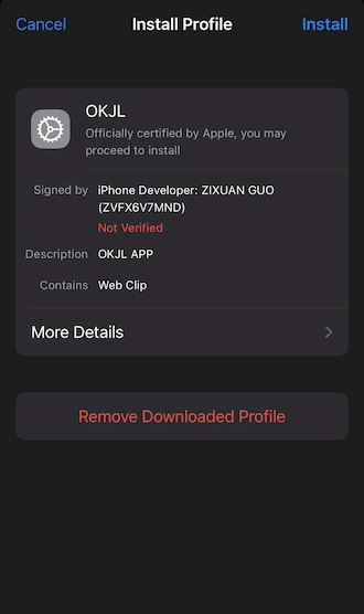 📌Step 4: Tap "Install".